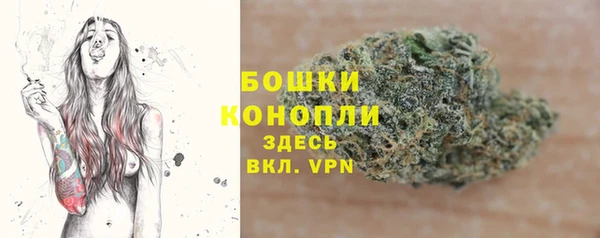 ГАЛЛЮЦИНОГЕННЫЕ ГРИБЫ Арсеньев