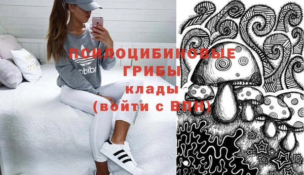 СК Армянск