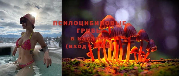 ГАЛЛЮЦИНОГЕННЫЕ ГРИБЫ Арсеньев