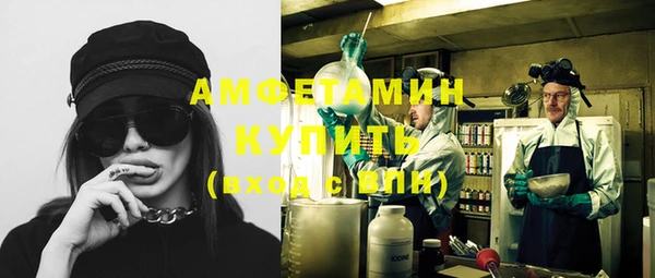 ГАЛЛЮЦИНОГЕННЫЕ ГРИБЫ Арсеньев