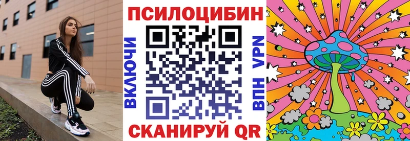 Псилоцибиновые грибы Psilocybine cubensis  Тара 